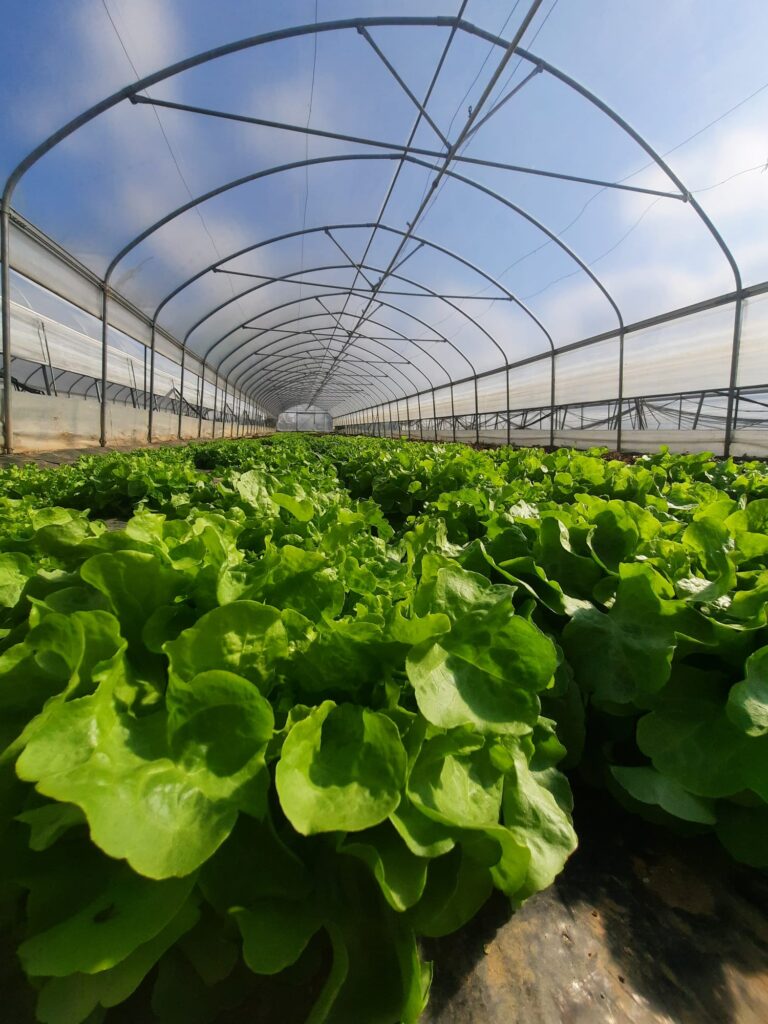 Azienda Agricola Il Pascolo - Cairate - Varese